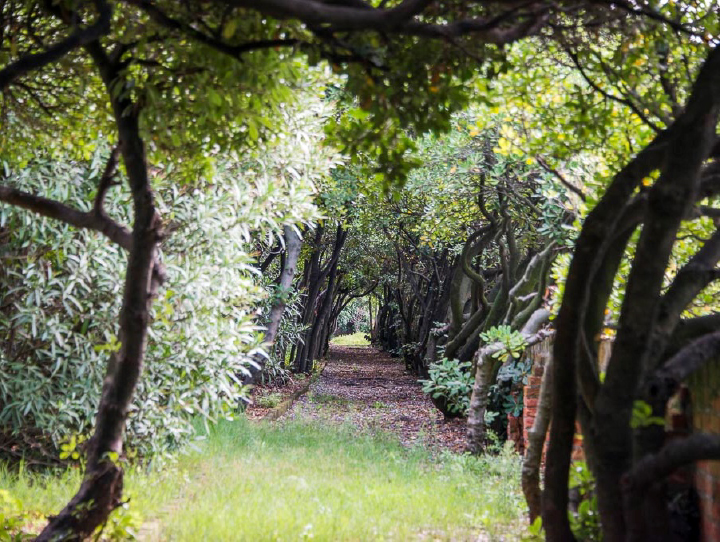 Un Jardin Sur La Lagune: სიახლე „ბაღების“ საკულტო კოლექციიდან