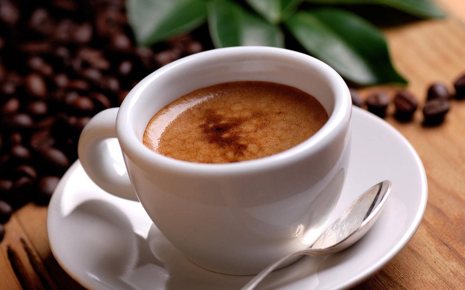 როგორ უნდა მოამზადოთ სრულყოფილი ყავა? – 5 მარტივი წესი