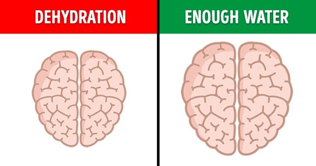რა გავლენას ახდენს ჩვენი ქმედებები ტვინის ფუნქციონირებაზე? – 9 მეცნიერული მაგალითი