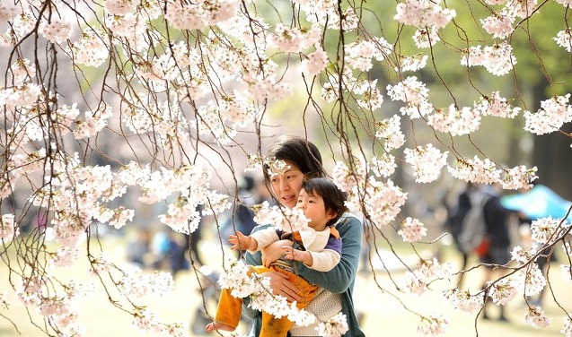 აღზრდის 5 მეთოდი იაპონელი მშობლებისგან, რომლებიც დაგეხმარებათ, რომ მშვიდი და თავაზიანი შვილი გაზარდოთ