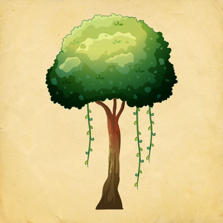ფსიქოლოგიური ტესტი: ამოარჩიეთ ხე და გაარკვიეთ, რა ცვლილებებს უნდა ელოდოთ 2021 წელს