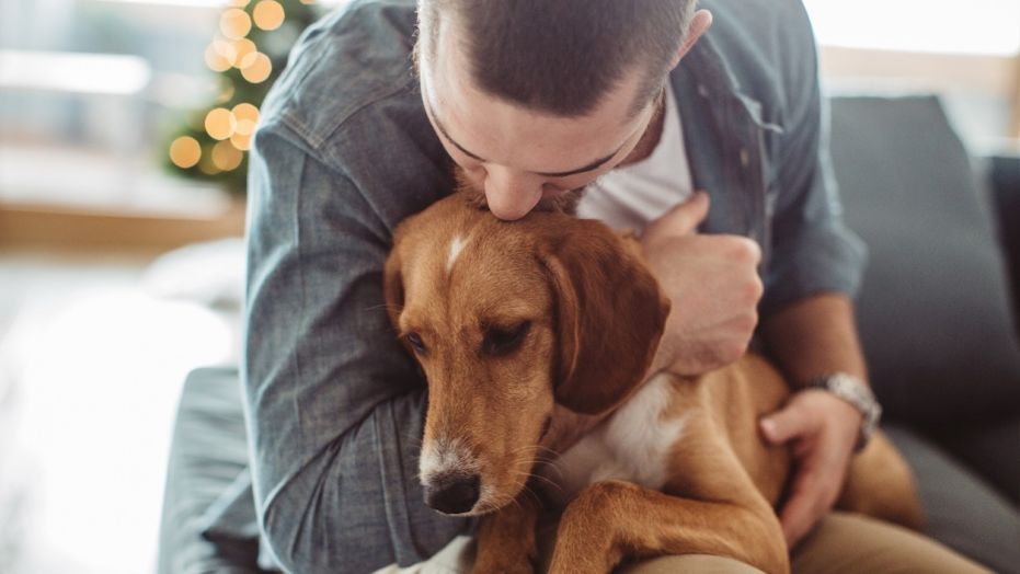 ადამიანებს ძაღლები ადამიანებზე უფრო მეტად უყვართ - ახალი კვლევის შედეგი