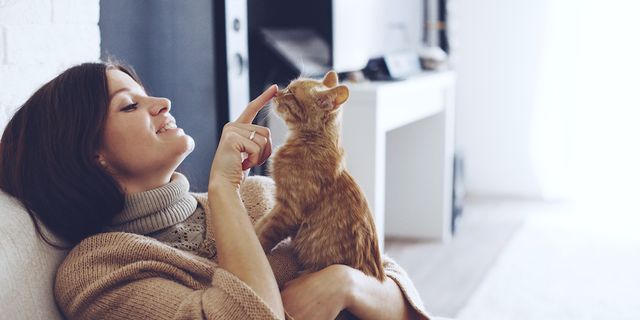 7 მიზეზი, რატომ არის საუკეთესო ცოლი ის ქალი, რომელსაც კატა ჰყავს
